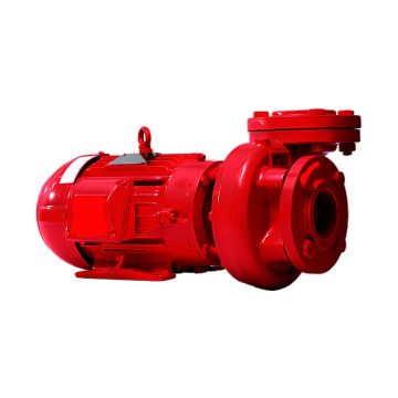 Motobomba Thebe THSI-18 10 CV Trifásica IP55 Rotor 179mm