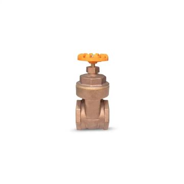 Válvula gaveta (registro bruto) premium - 1"